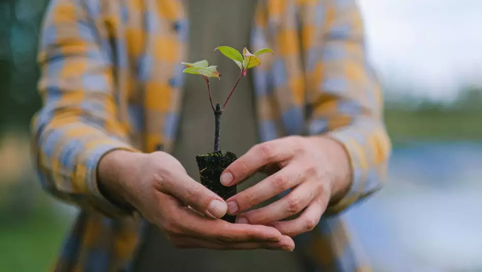 Un'immagine generica segnaposto con angoli arrotondati in una figura.